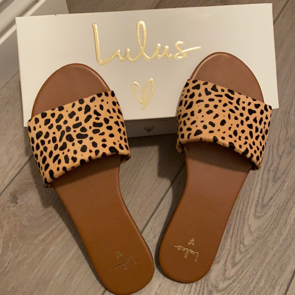 Cheetah slides